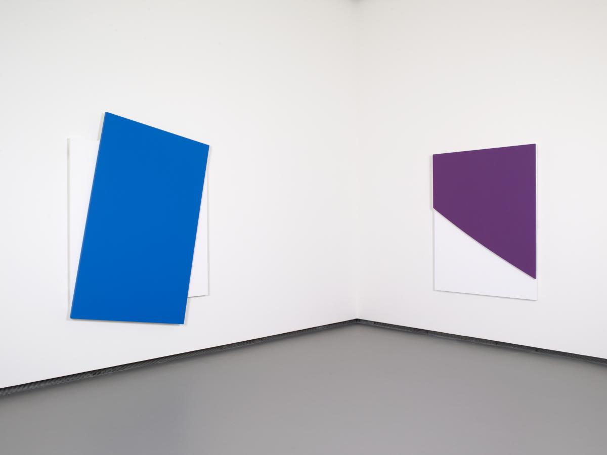 Ellsworth Kelly - Blue Diagonal   Purple Curve in Relief -® Ellsworth Kelly -® Fondation Louis Vuitton Marc Domage.jpeg