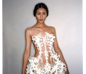 One of the iconic looks of Iris Van Herpen. Copyright Marleen Daniels